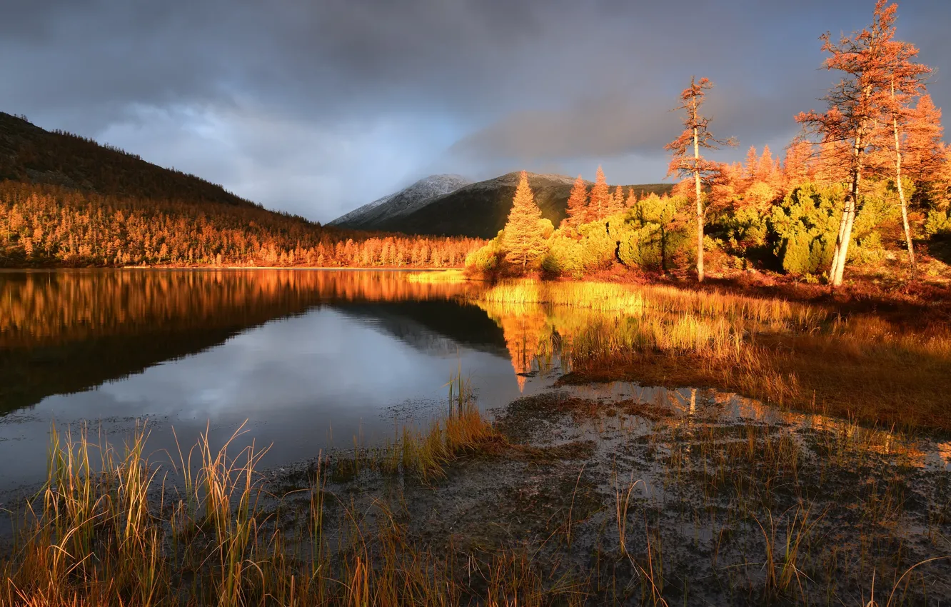 Фото обои осень, пейзаж, природа, туман, озеро, рассвет, холмы, утро