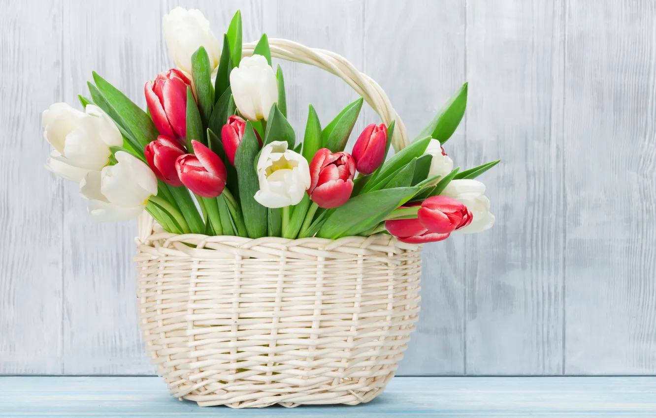 Фото обои цветы, букет, тюльпаны, red, white, wood, flowers, tulips