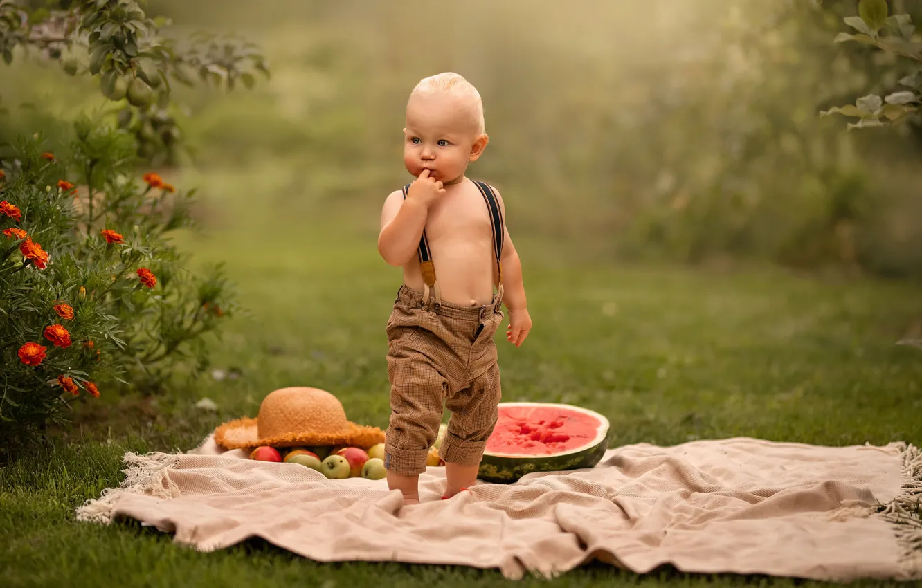Фото обои поляна, мальчик, арбуз, Елена Чернигина