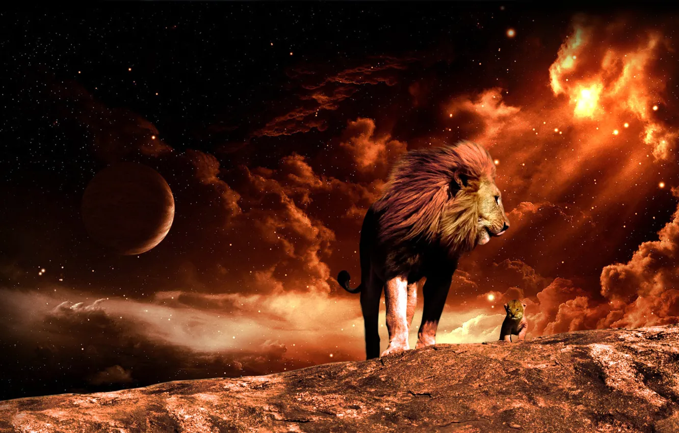 Фото обои космос, огонь, Лев, львёнок