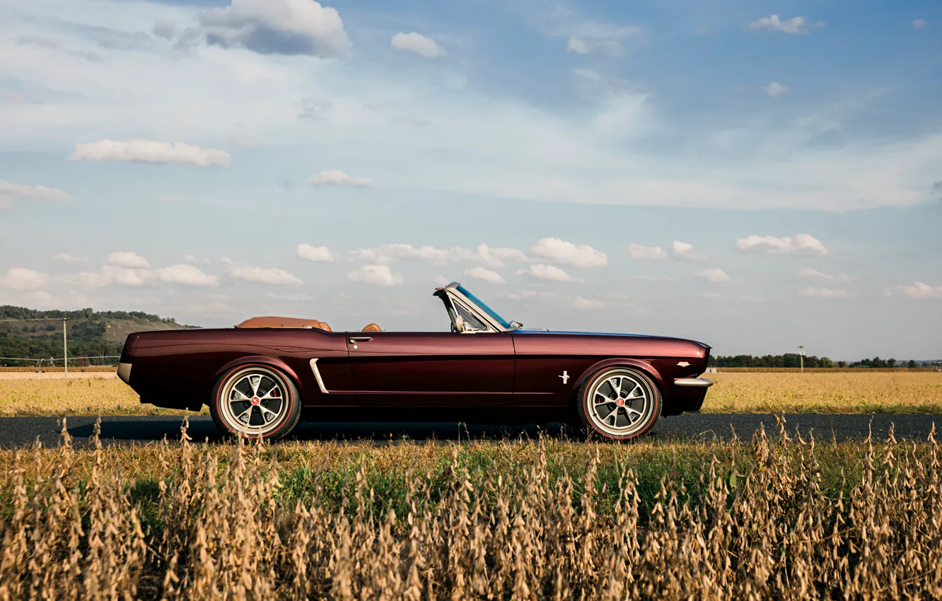 Фото обои car, Mustang, Ford, road, sky, Ringbrothers, 1965 Ford Mustang Convertible, Ford Mustang Uncaged