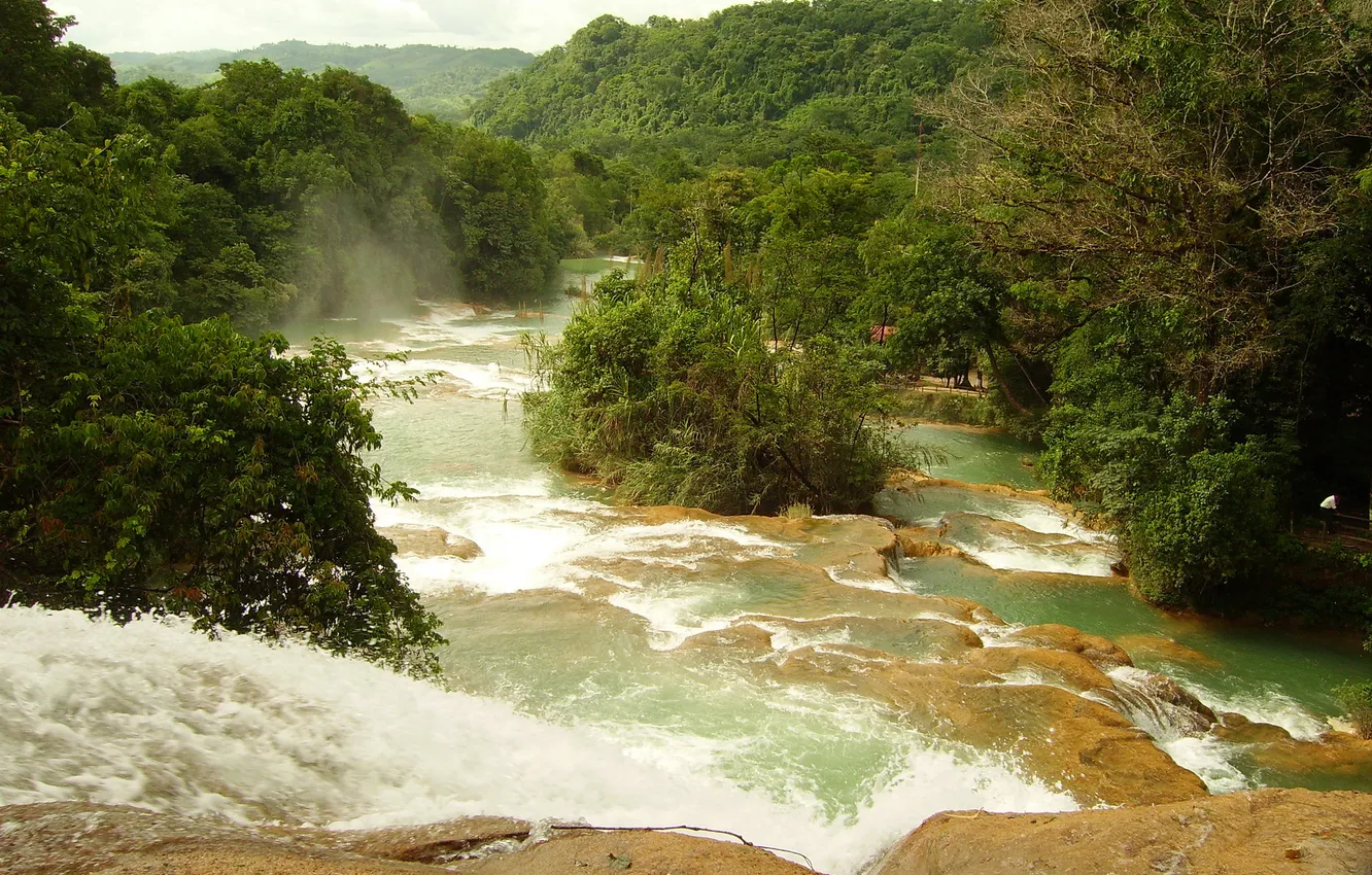 Фото обои деревья, природа, река, фото, водопады, Mexica, Agua Azul