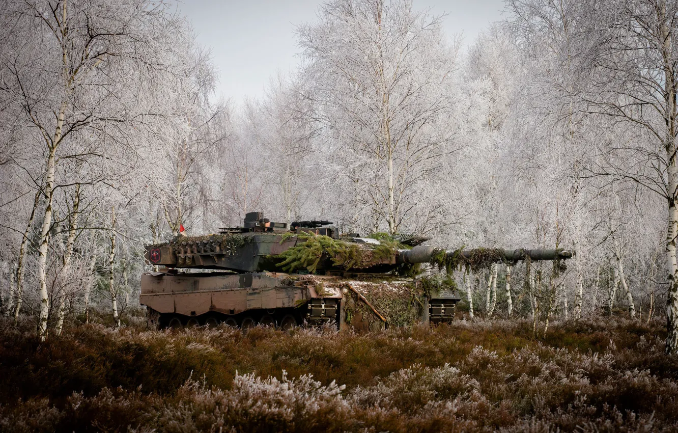 Фото обои лес, трава, деревья, танк, боевой, Leopard 2A6M