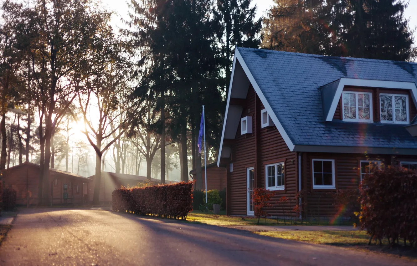 Фото обои windows, house, road, trees, wood, Europe, Belgium, flag