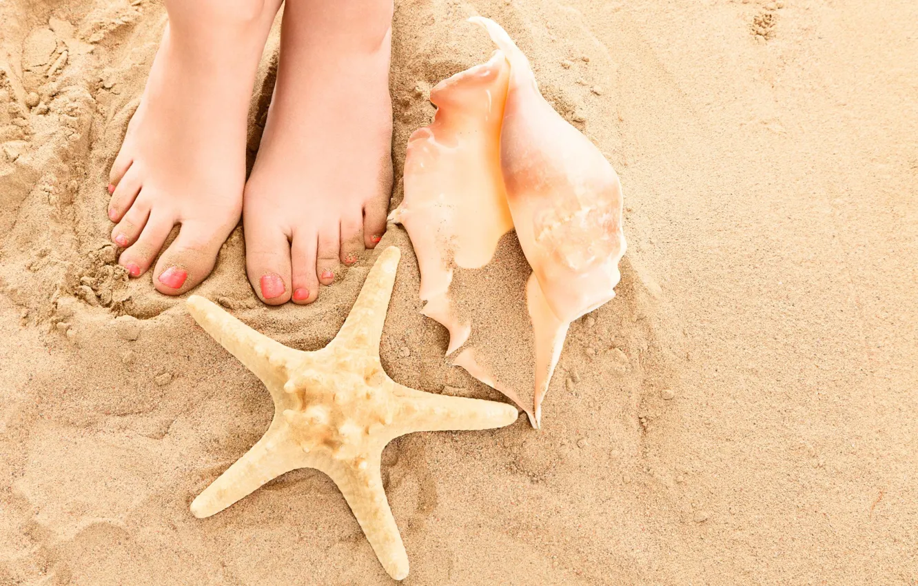 Фото обои песок, пляж, лето, ноги, ракушки, summer, beach, legs
