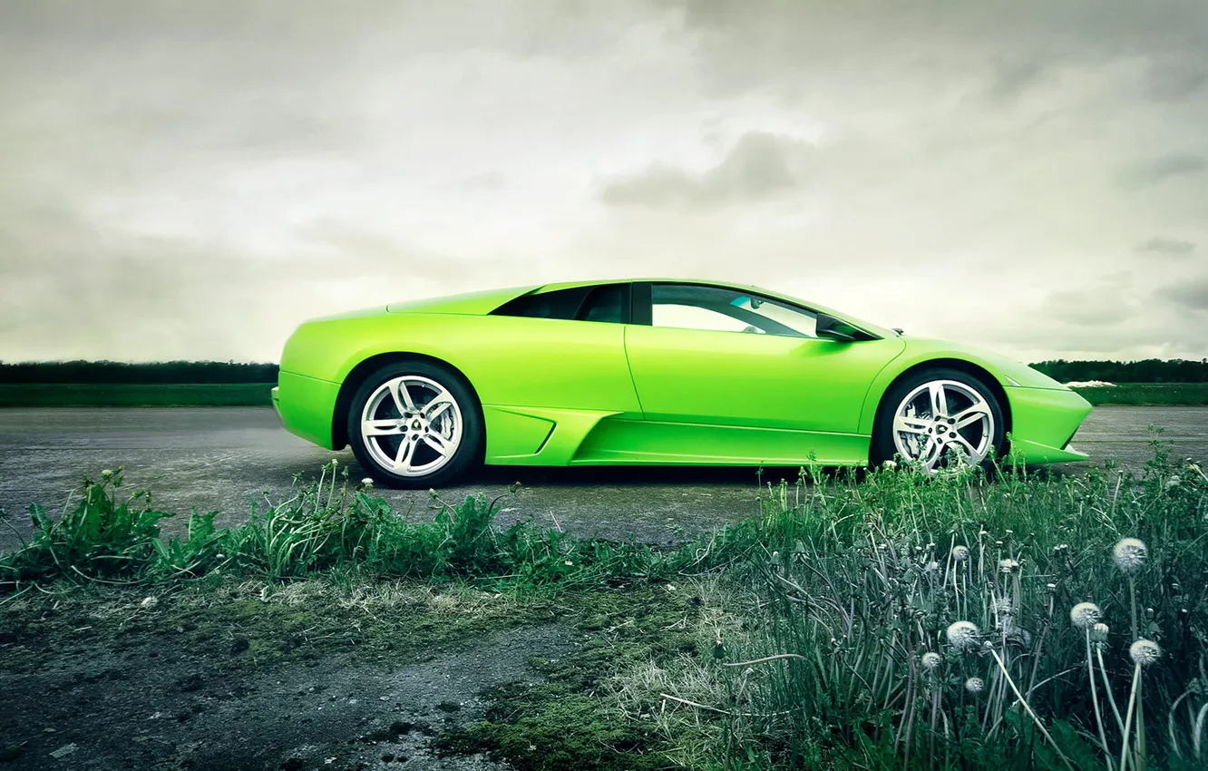 Фото обои Lamborghini, Murcielago, LP640