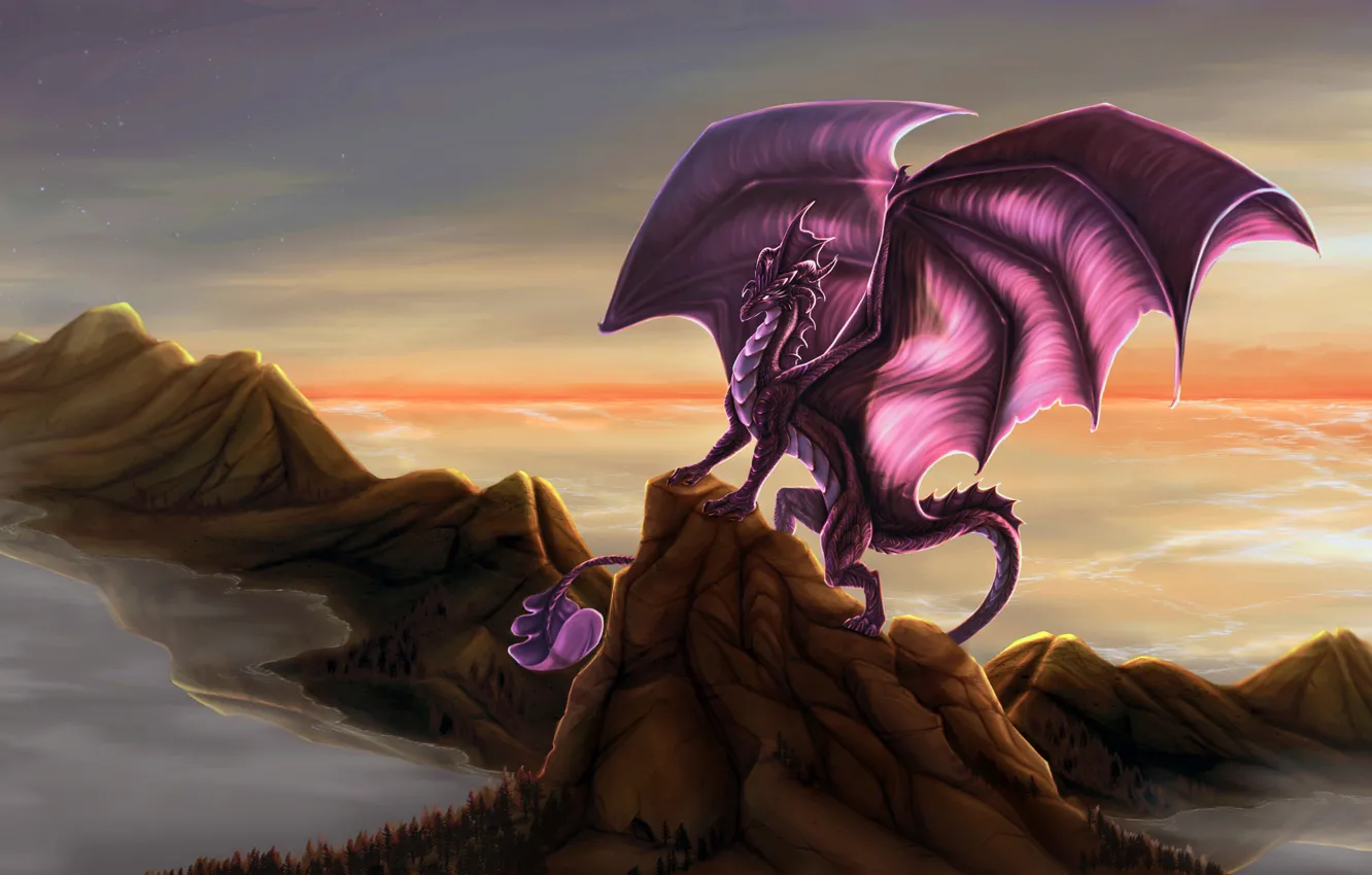 Фото обои Dragon, wings, rocks