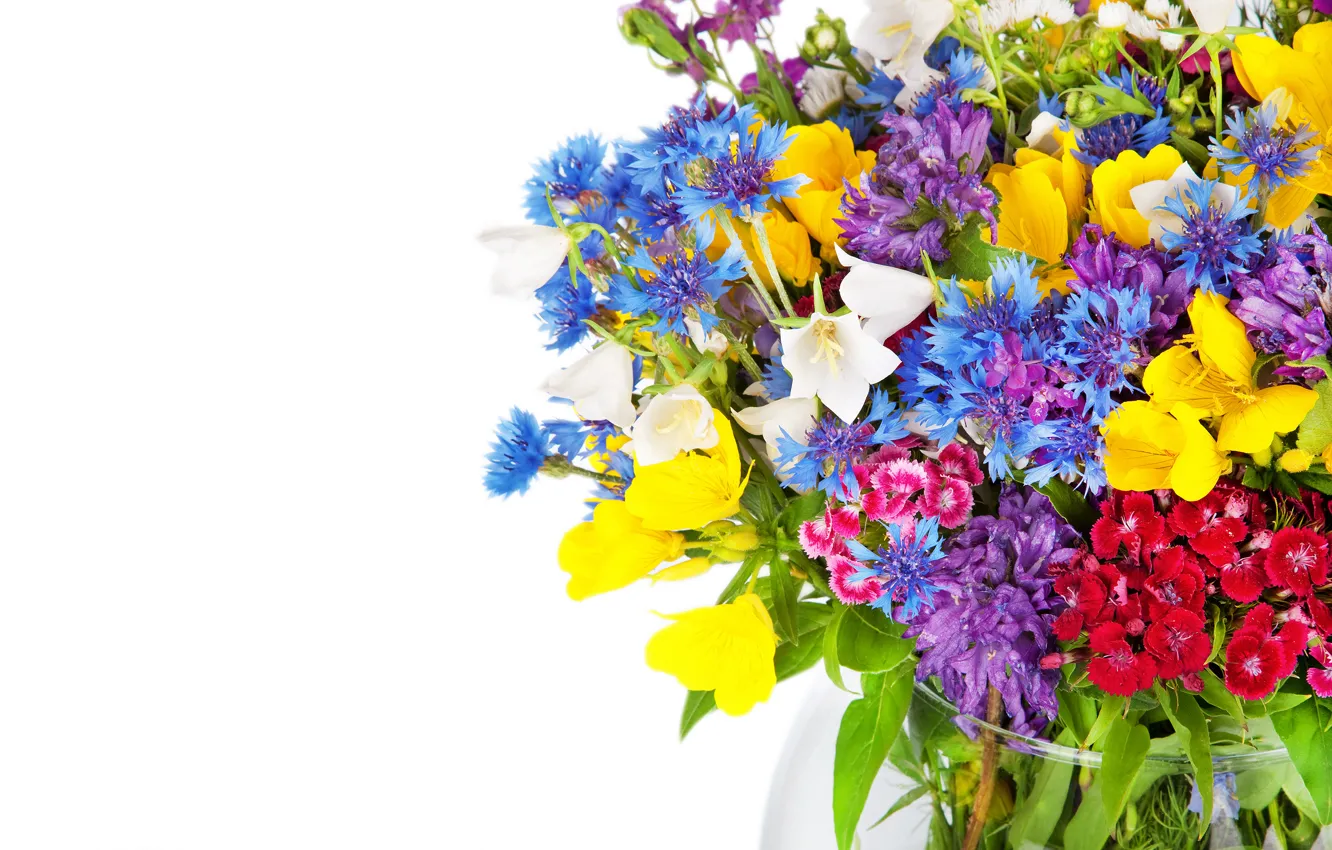 Фото обои цветы, букет, колокольчики, полевые, Васильки, гвоздики, альстрёмерия