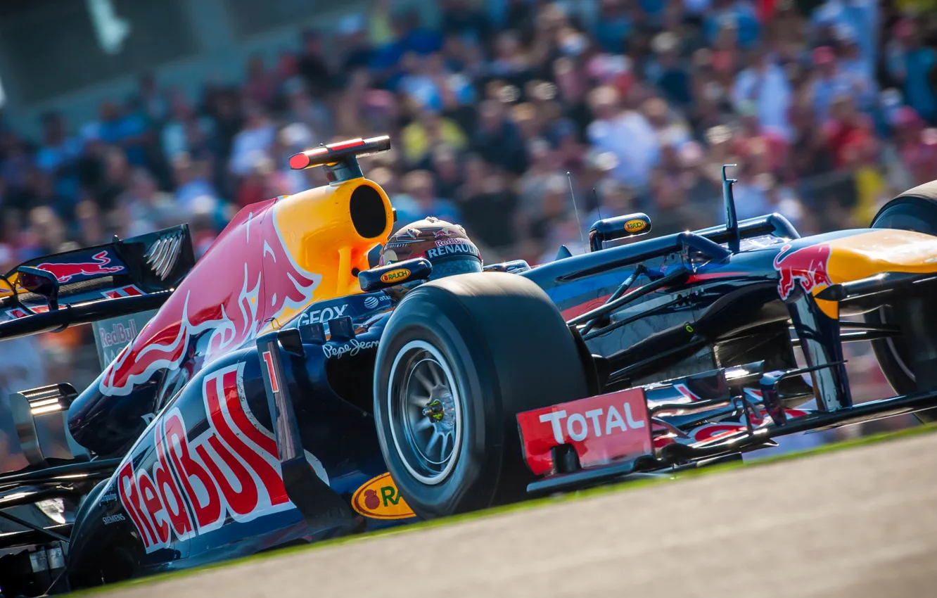 Фото обои USA, Formula 1, Red Bull, Vettel, Чемпион