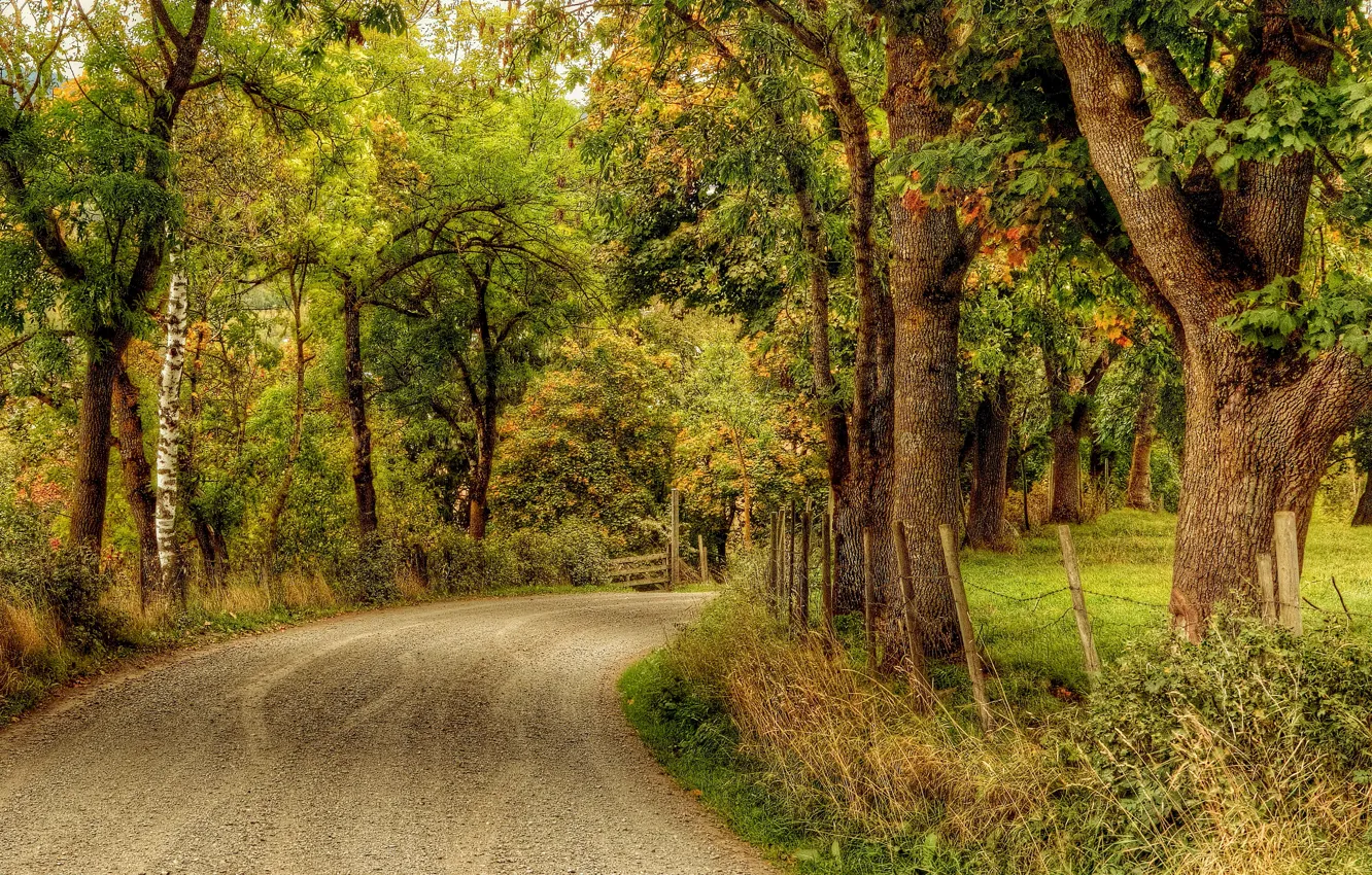 Фото обои дорога, осень, парк, HDR, аллея, road, autumn, parks