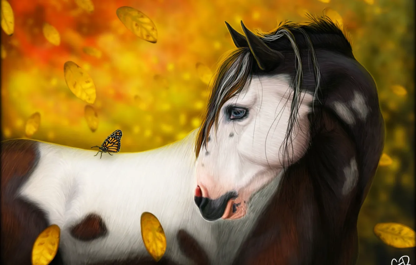 Фото обои осень, листья, природа, бабочка, лошадь