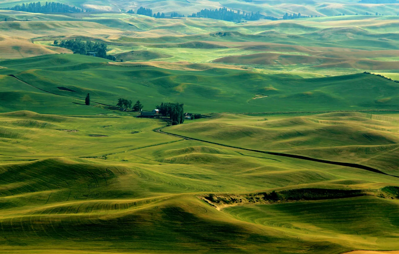 Фото обои трава, деревья, холмы, поля, Италия