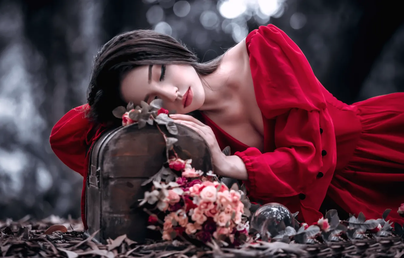 Фото обои девушка, цветы, природа