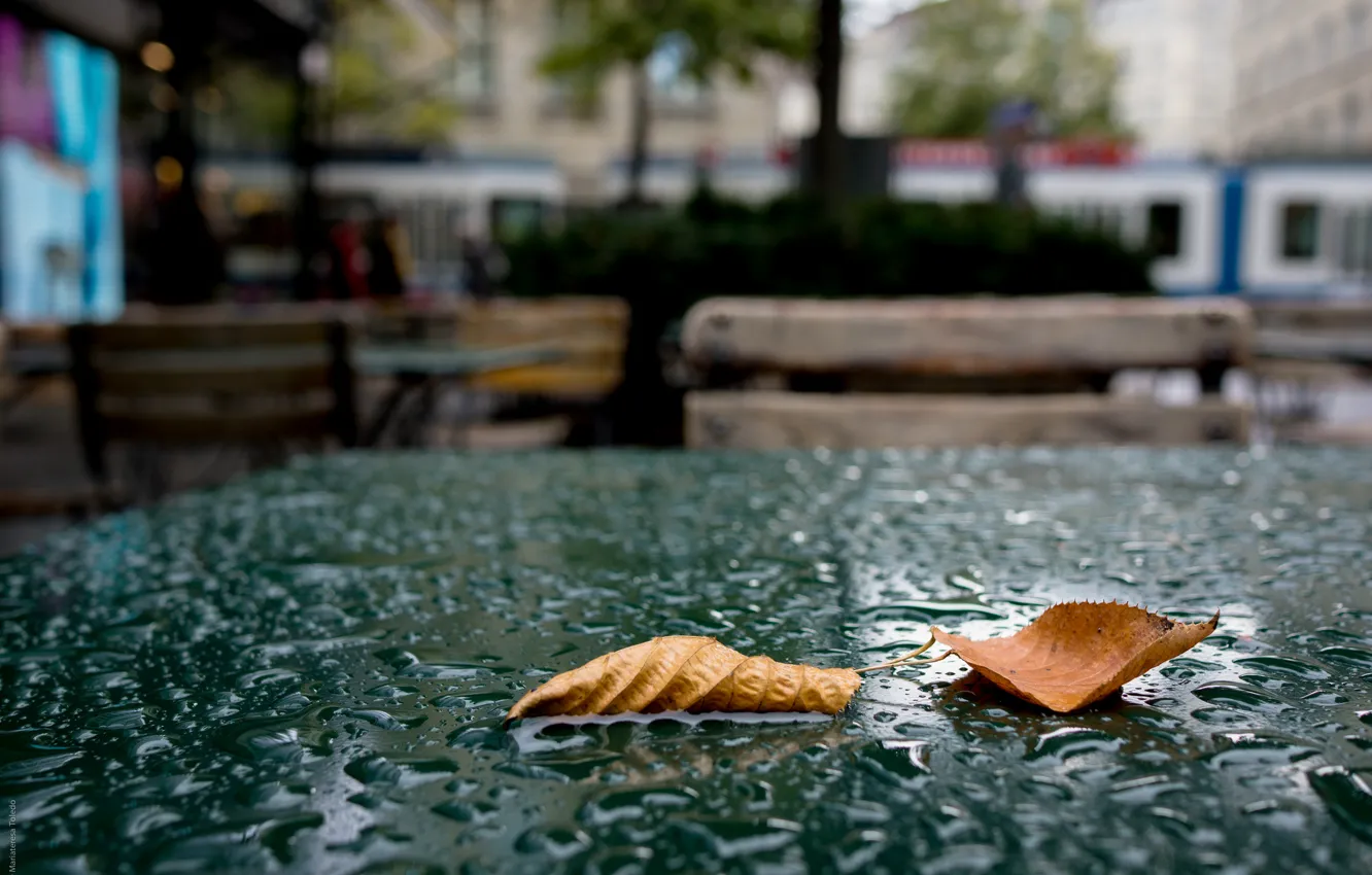 Фото обои Капли, Город, Кафе, Осень, Листья, Стол, Дождь