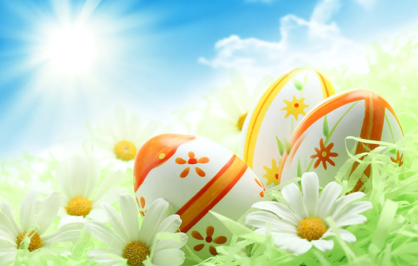 Фото обои зелень, небо, солнце, праздник, голубое, ромашки, яйца, Пасха