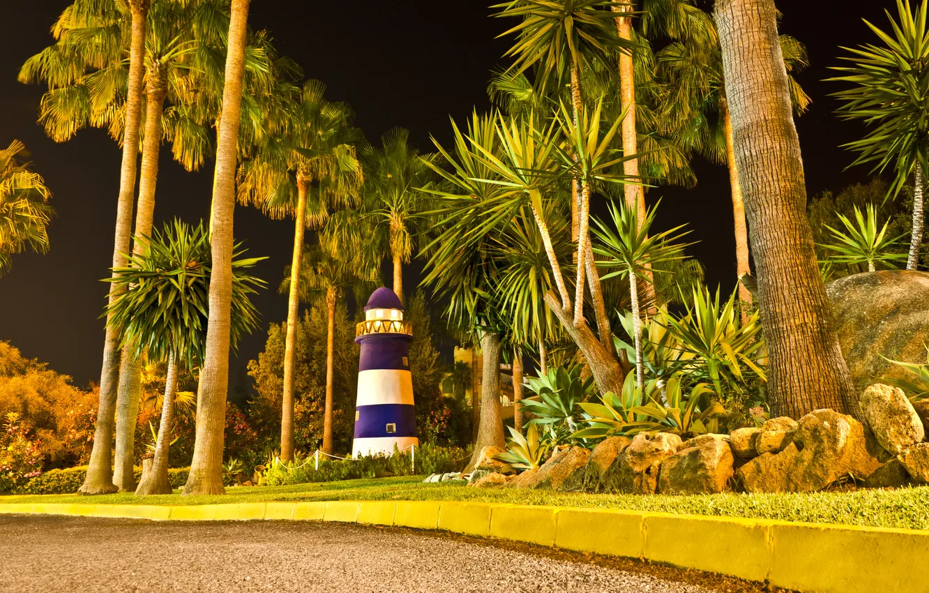 Фото обои дорога, свет, ночь, тропики, парк, пальма, маяк