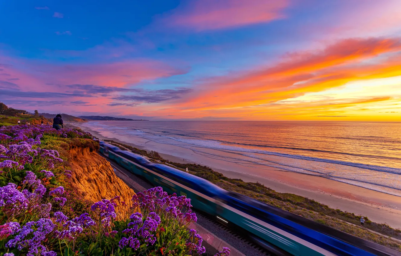 Фото обои закат, цветы, океан, побережье, Калифорния, Pacific Ocean, California, Тихий океан