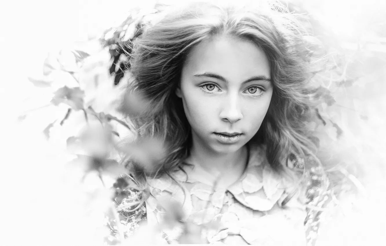 Фото обои листья, портрет, девочка, чб фото, Пилтник