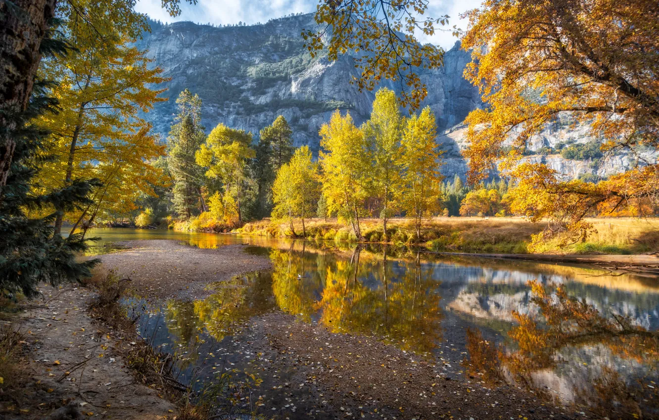 Фото обои осень, деревья, пейзаж, горы, природа, река, США, Йосемити