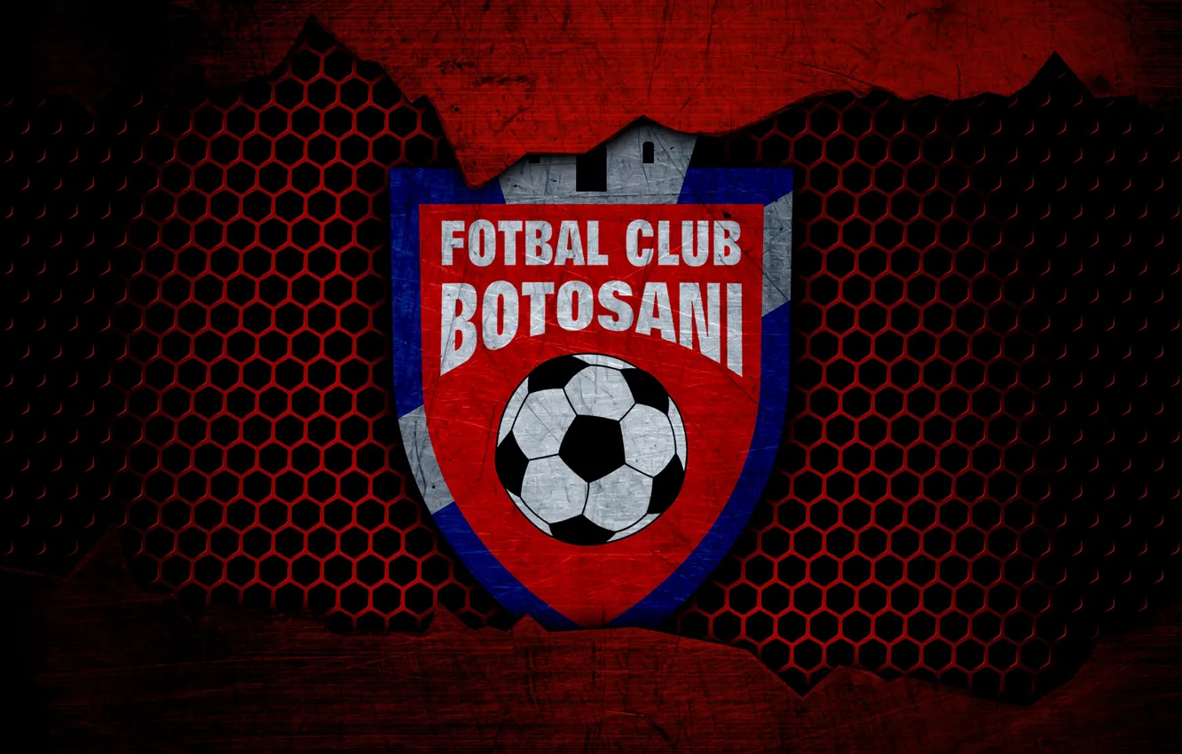 Фото обои wallpaper, sport, logo, football, Botosani