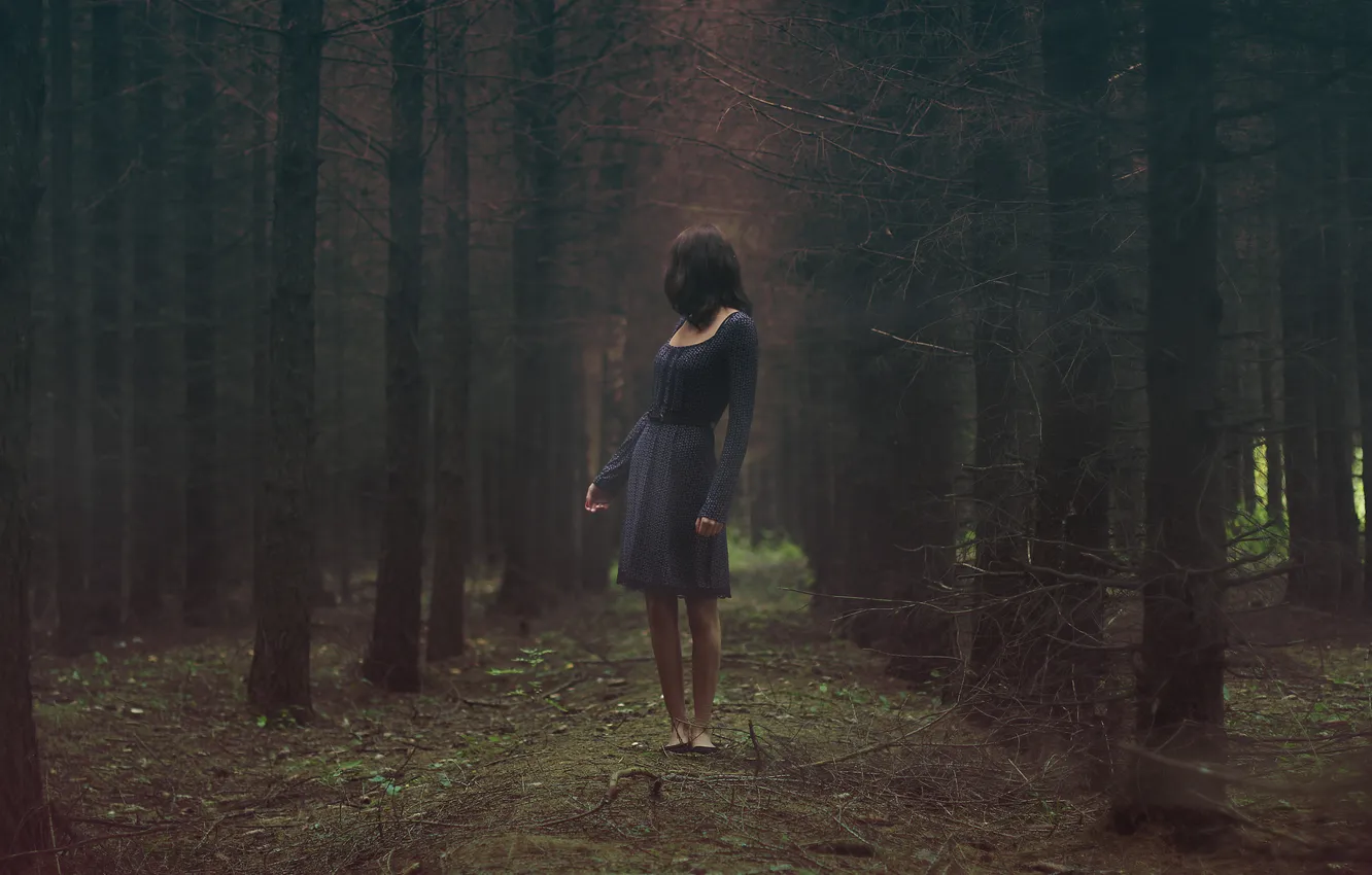 Фото обои лес, девушка, сумрак, сосны