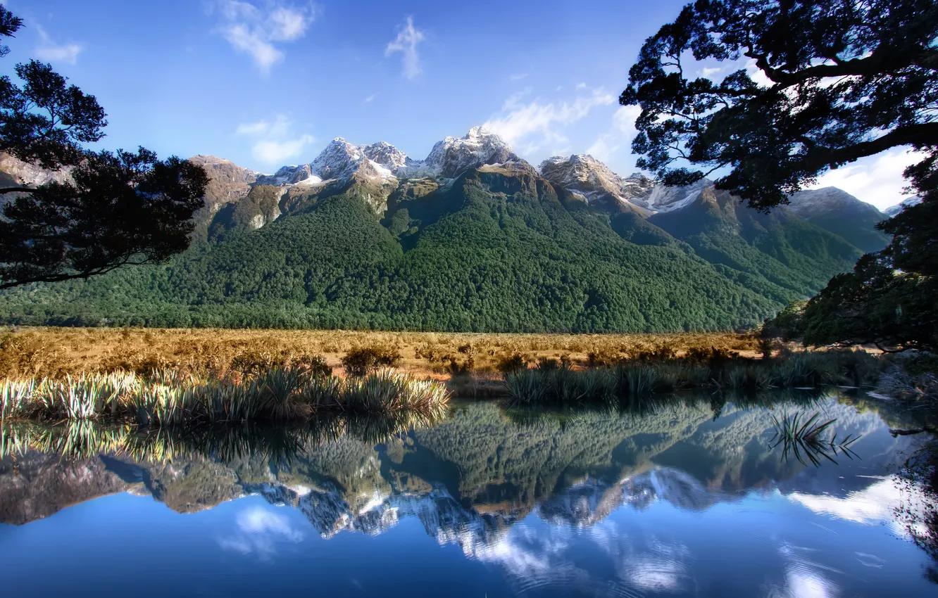 Фото обои лес, небо, горы, природа, озеро