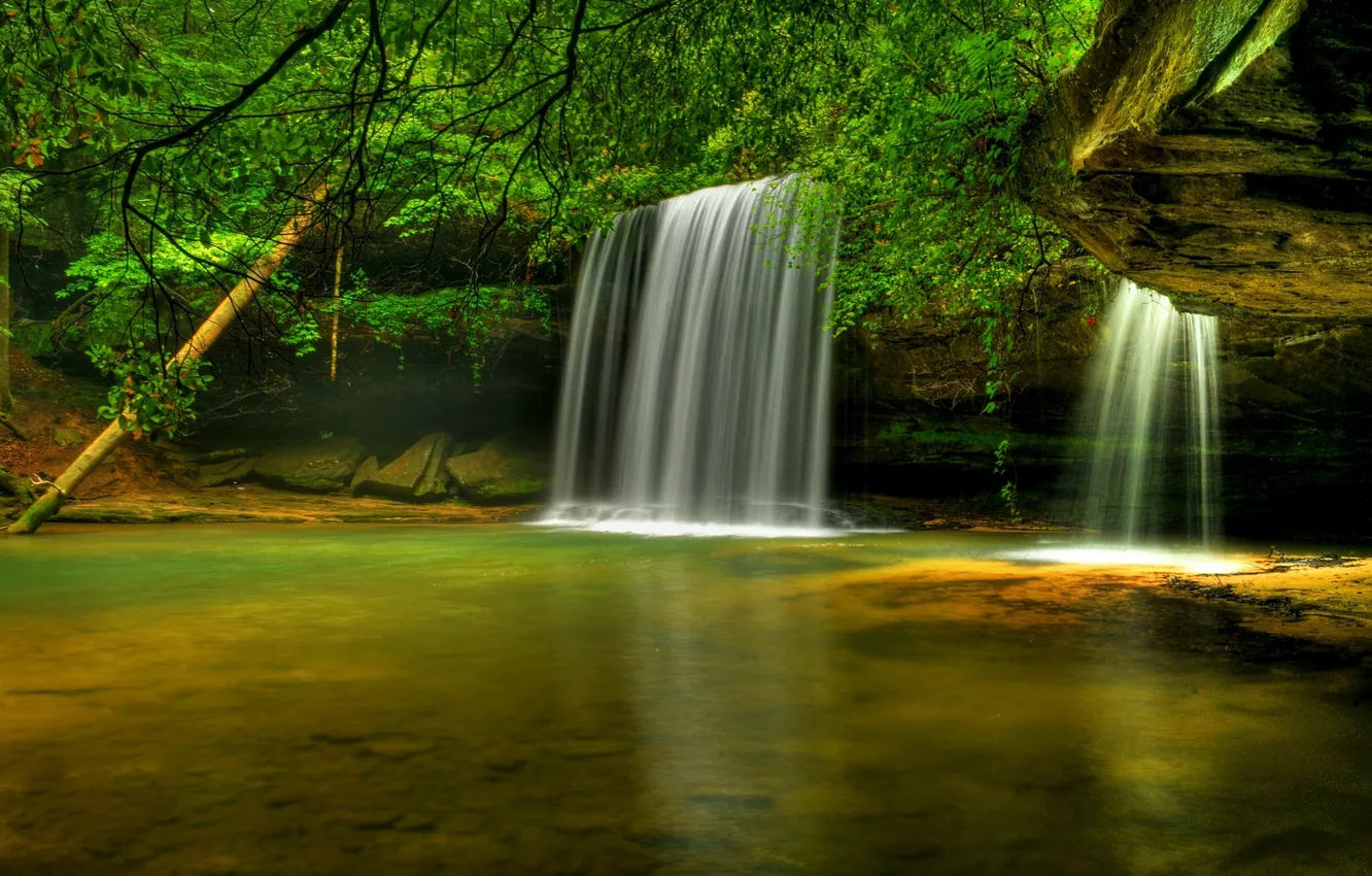 Фото обои деревья, река, водопад, Alabama, Bankhead National Forest, Caney Creek Falls