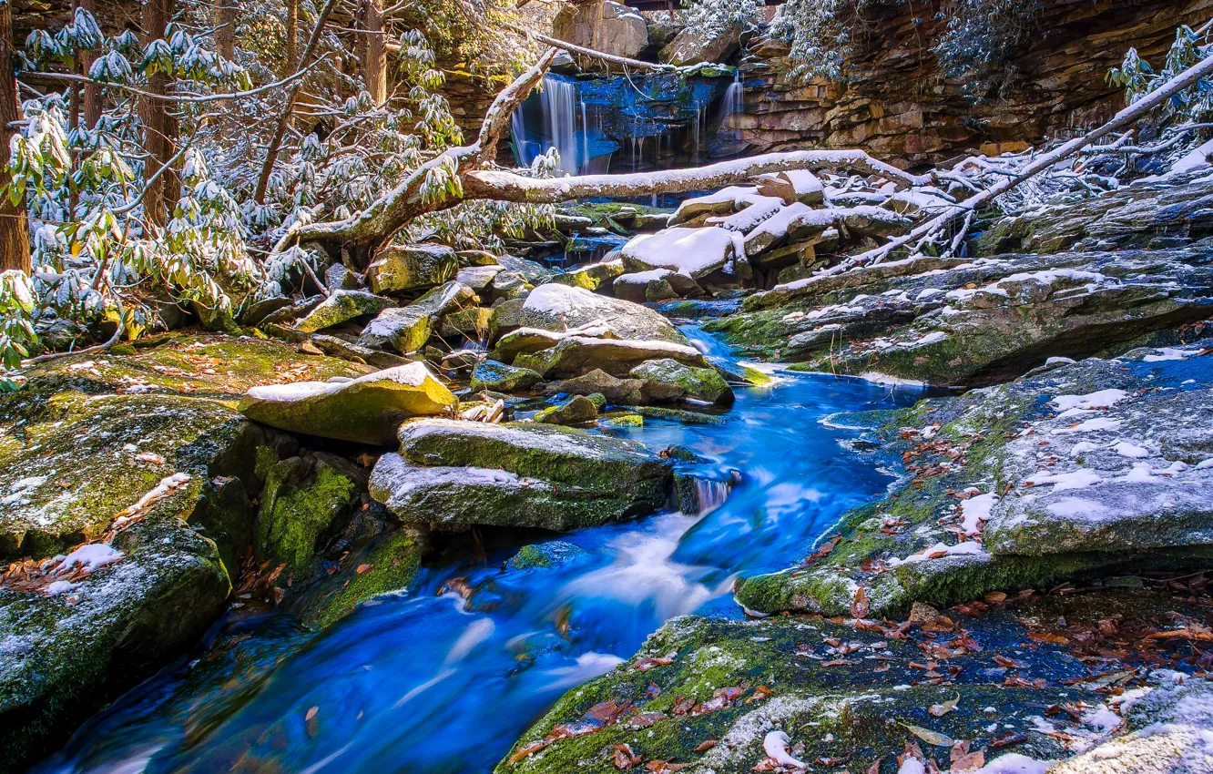 Фото обои осень, снег, деревья, ручей, камни, водопад
