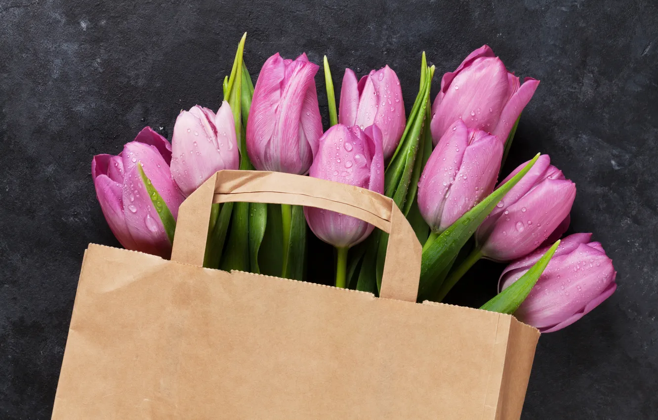 Фото обои цветы, букет, тюльпаны, pink, flowers, tulips, spring, bag