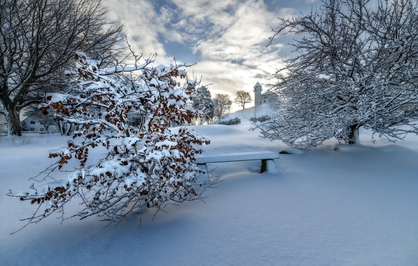Фото обои зима, снег, скамья