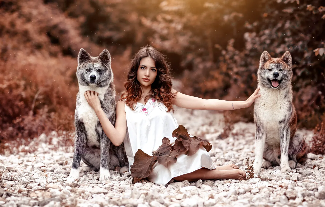 Фото обои животные, взгляд, природа, поза, модель, портрет, макияж, платье