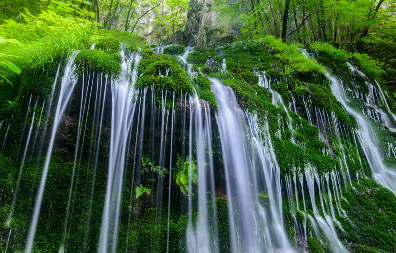 Фото обои вода, природа, камни, растительность, водопад, мох