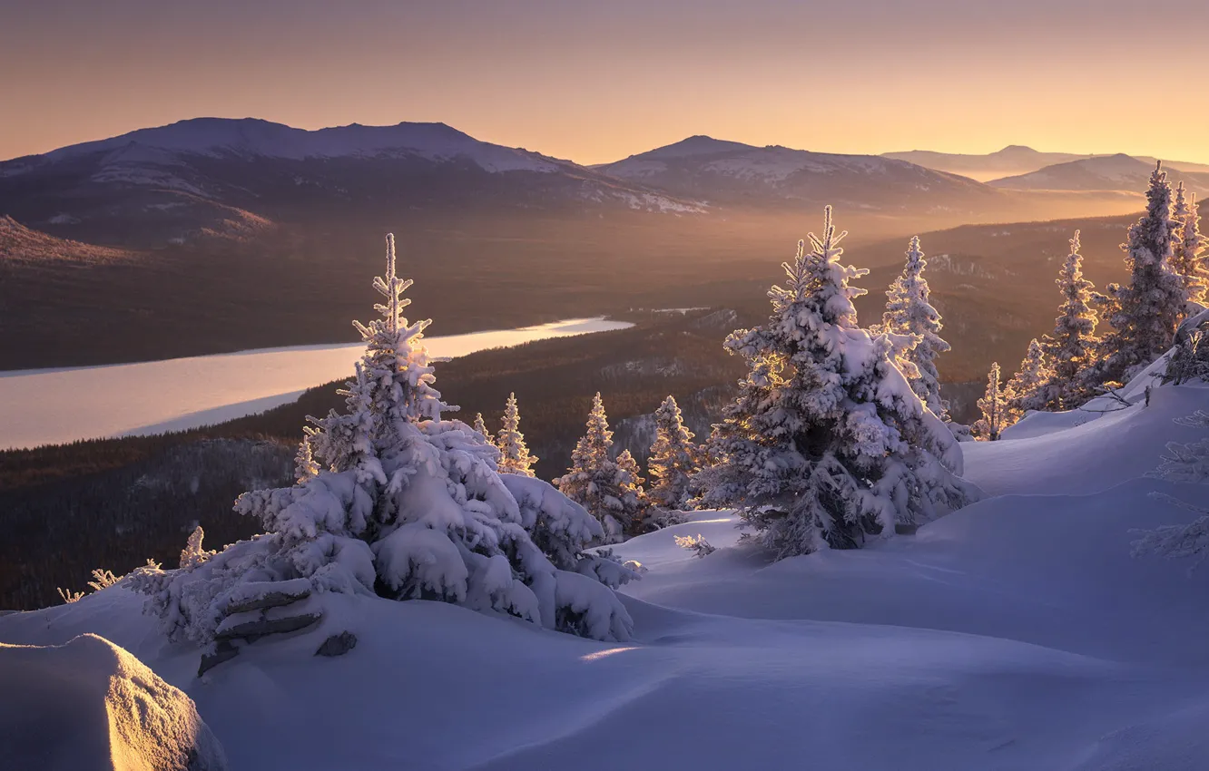 Фото обои зима, иней, лес, небо, свет, снег, горы, туман