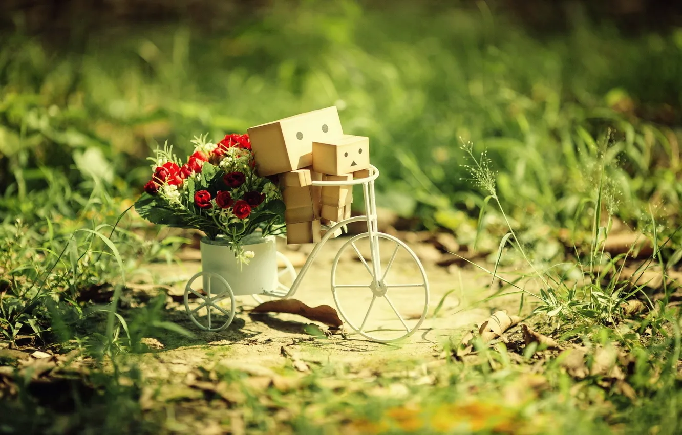 Фото обои трава, цветы, велосипед, Danbo