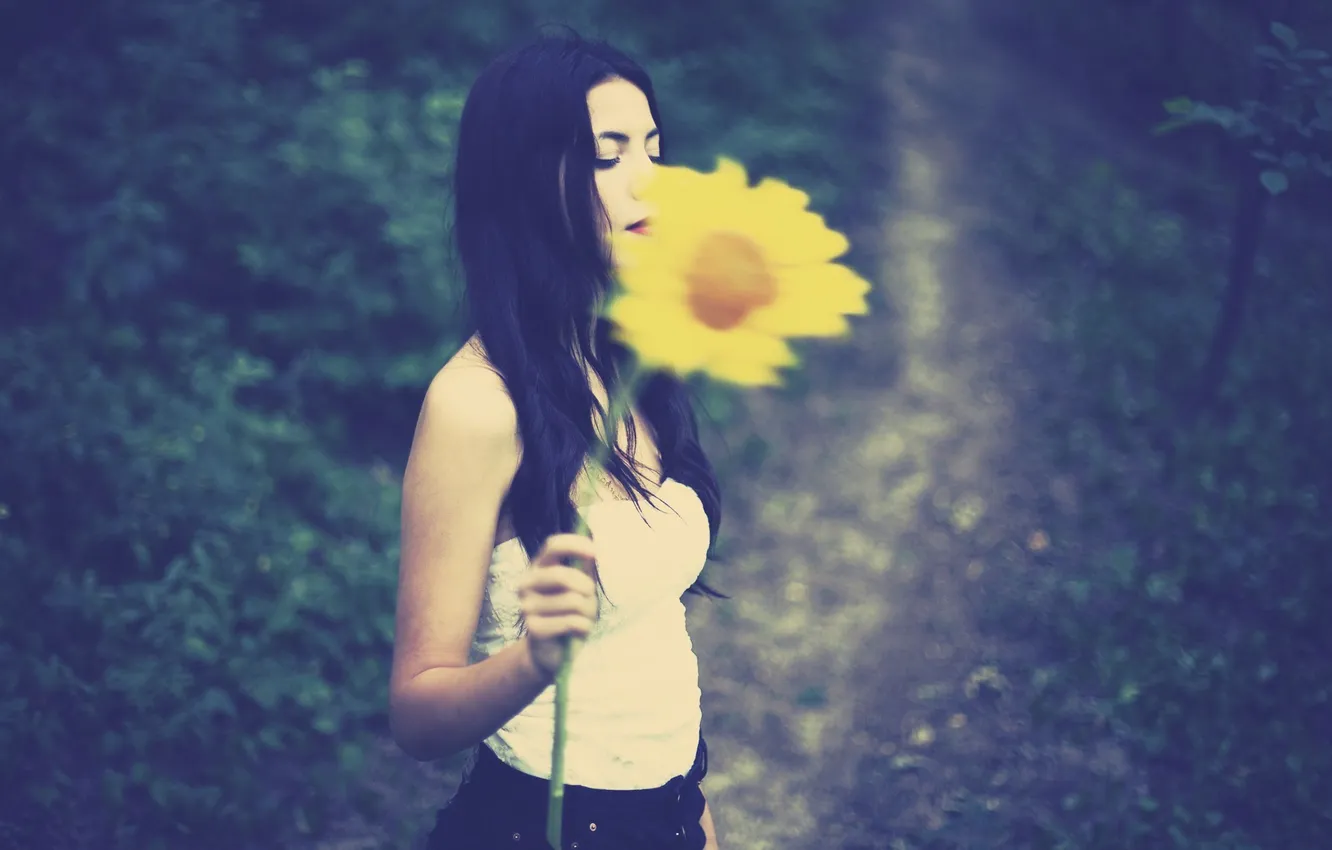 Фото обои цветок, девушка, цветы, желтый, фон, обои, настроения, подсолнух