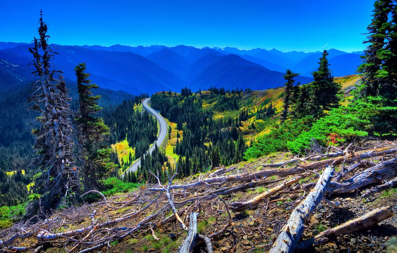 Фото обои дорога, лес, небо, деревья, горы, долина