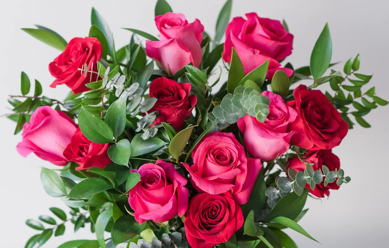 Фото обои розы, букет, малиновый