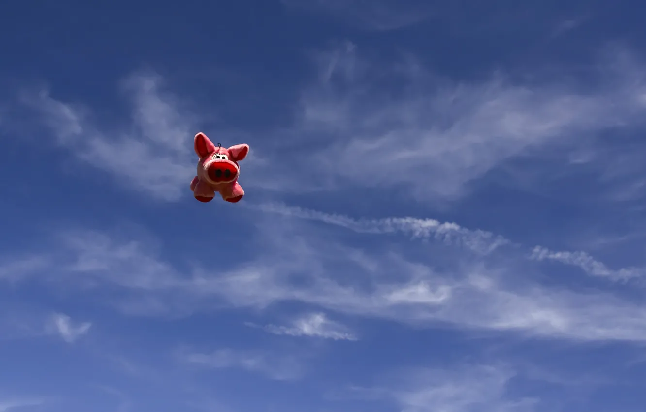 Фото обои небо, игрушка, хрюшка, поросёнок, летающая свинья