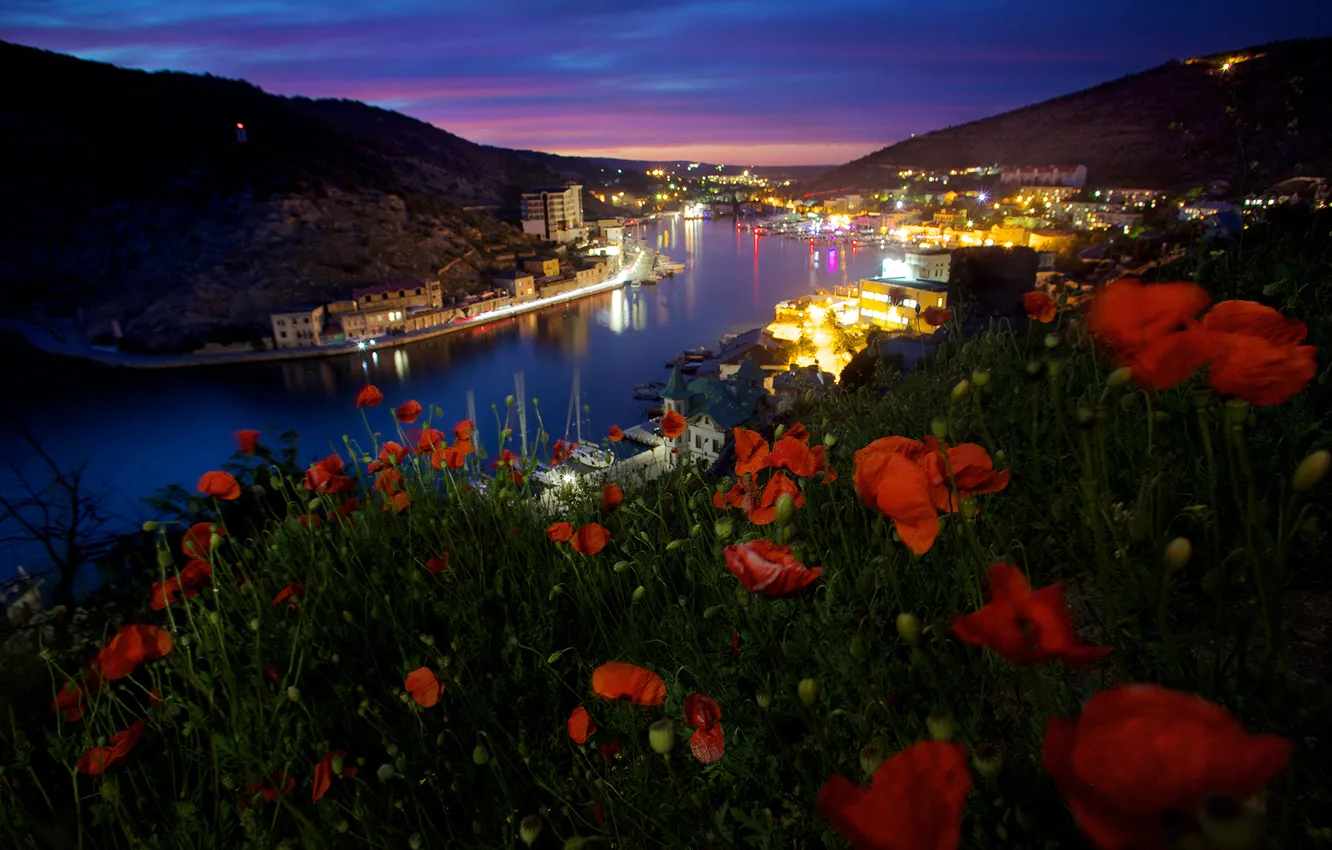 Фото обои море, цветы, дома, Ночь, залив, Крым, Севастополь