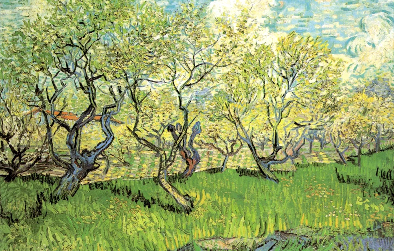 Фото обои трава, облака, деревья, Vincent van Gogh, in Blossom 2, Orchard