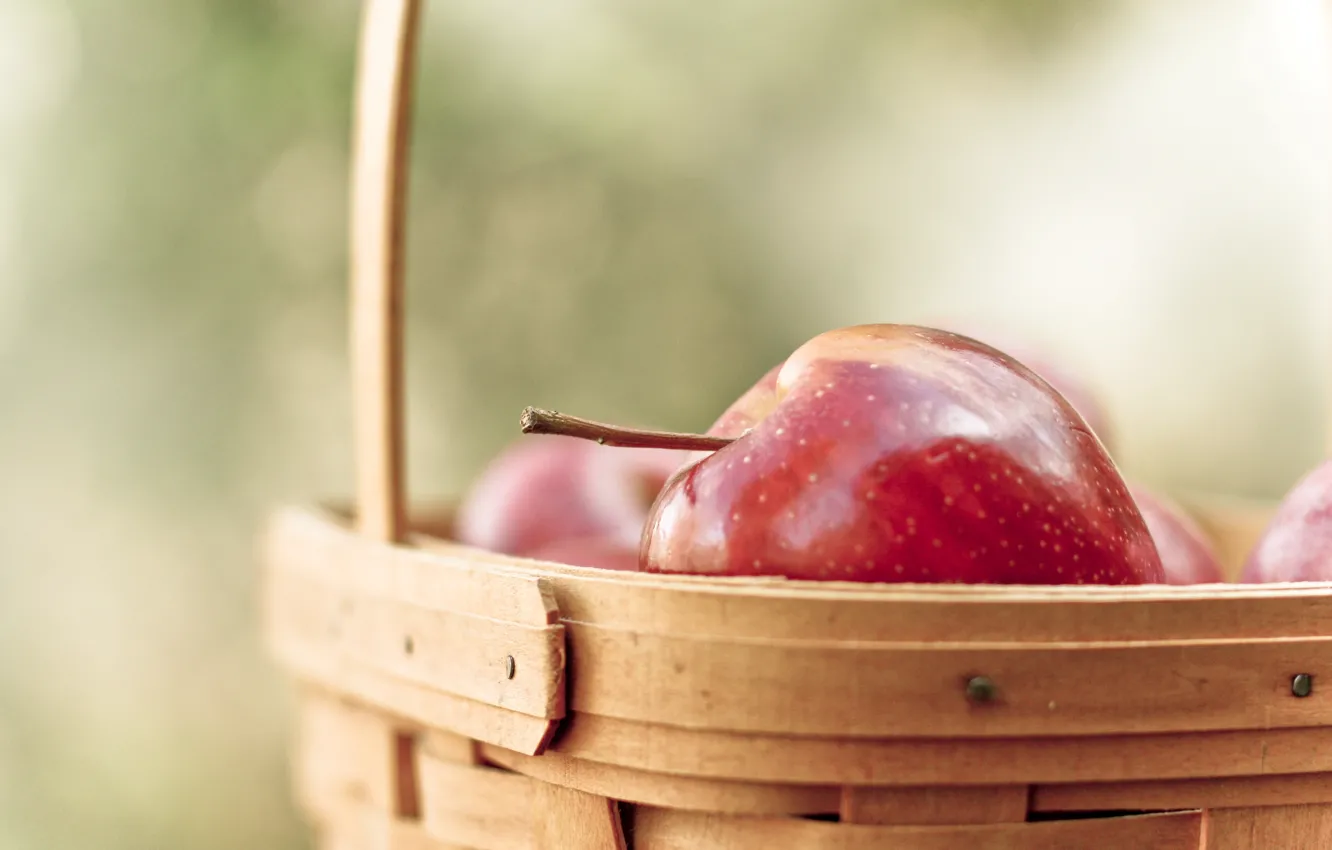 Фото обои макро, красный, фон, widescreen, обои, корзина, яблоки, яблоко