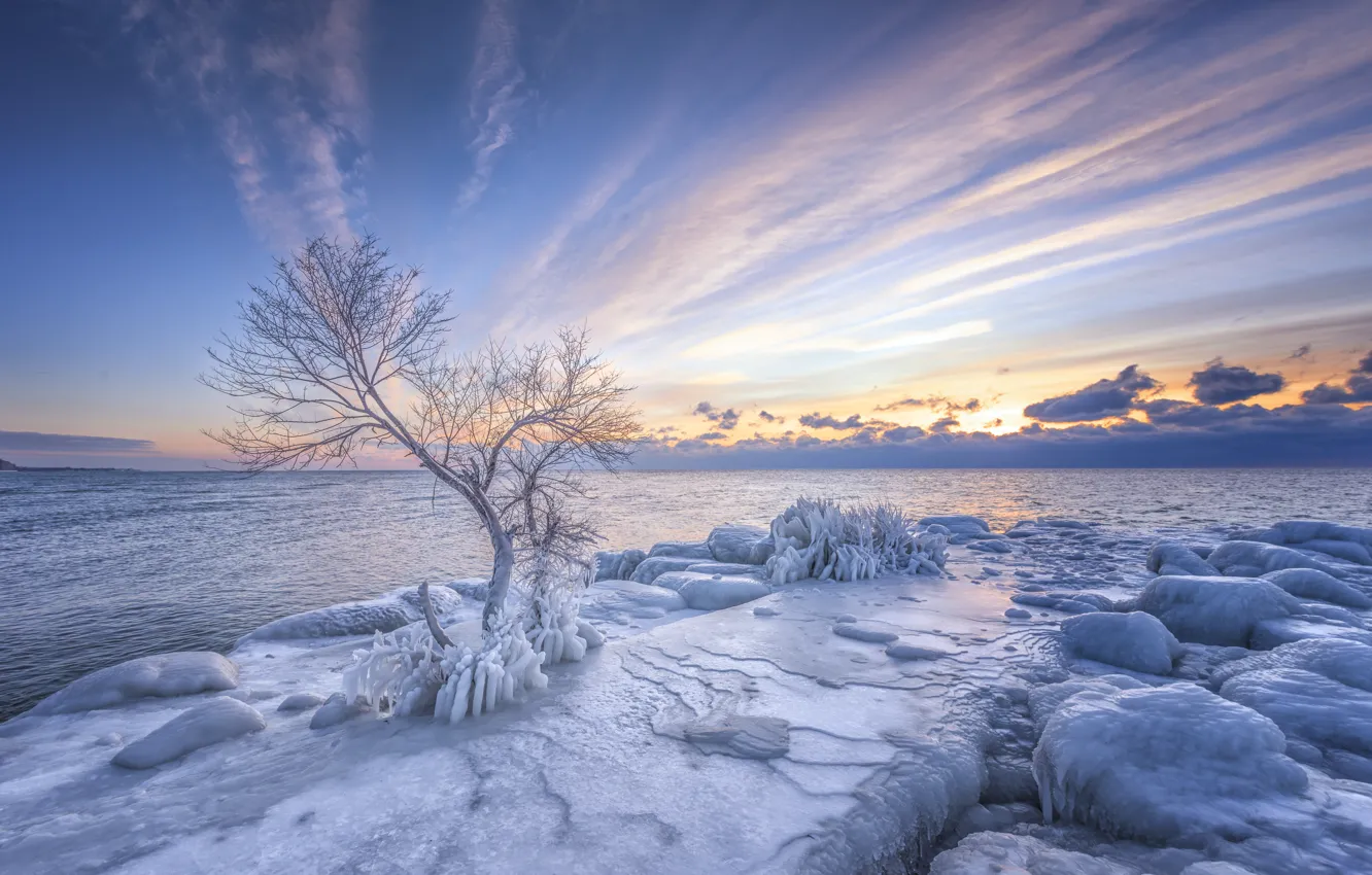 Фото обои лед, зима, снег, деревья, берег, водоем