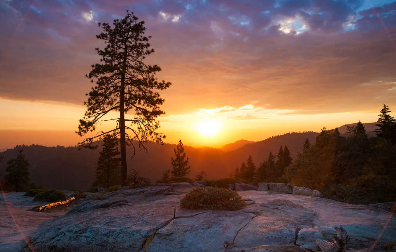 Фото обои sunset, mountain, tree, beetle rock, sierra nevada