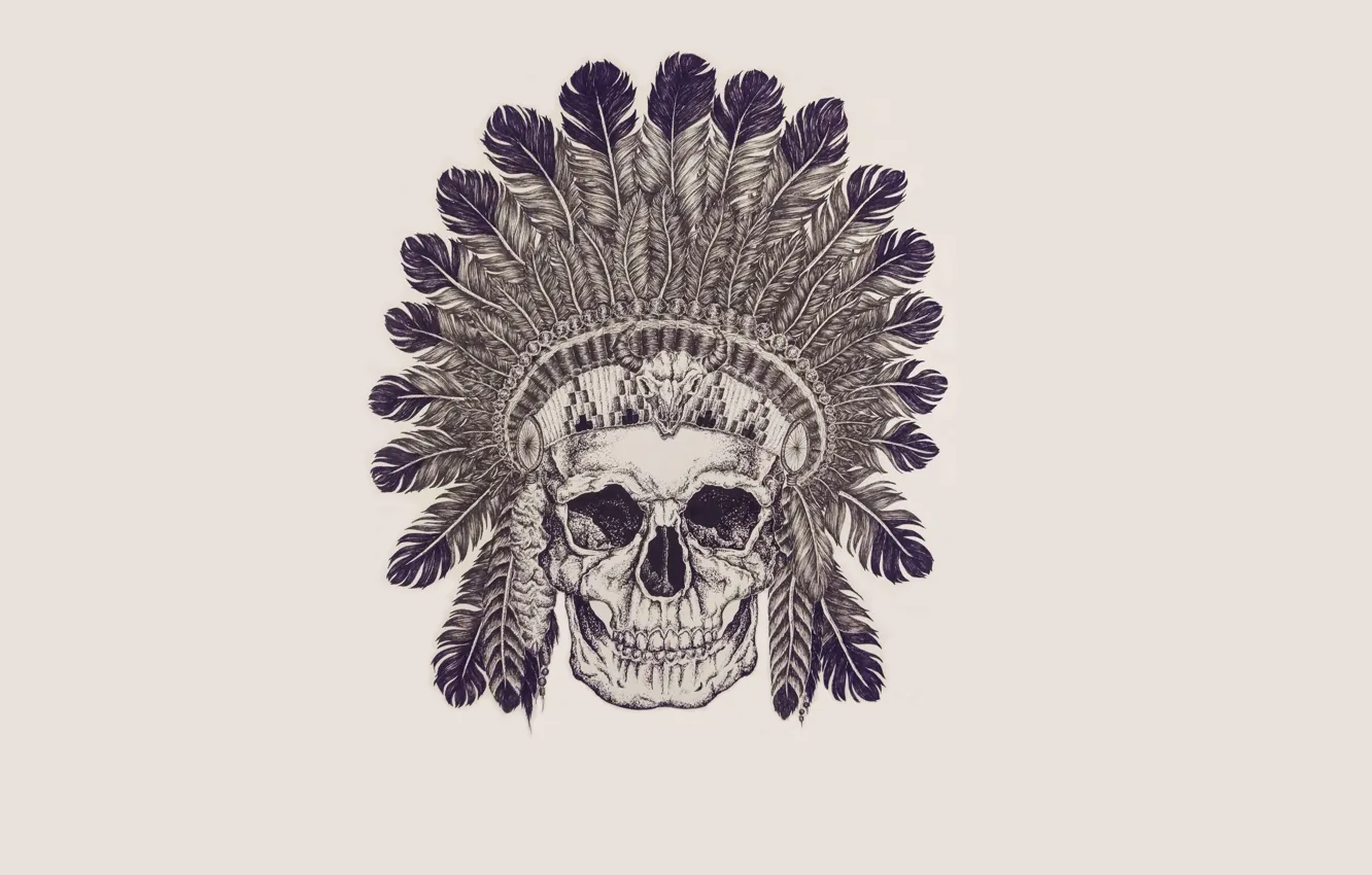 Фото обои череп, перья, скелет, skull, индеец, indian