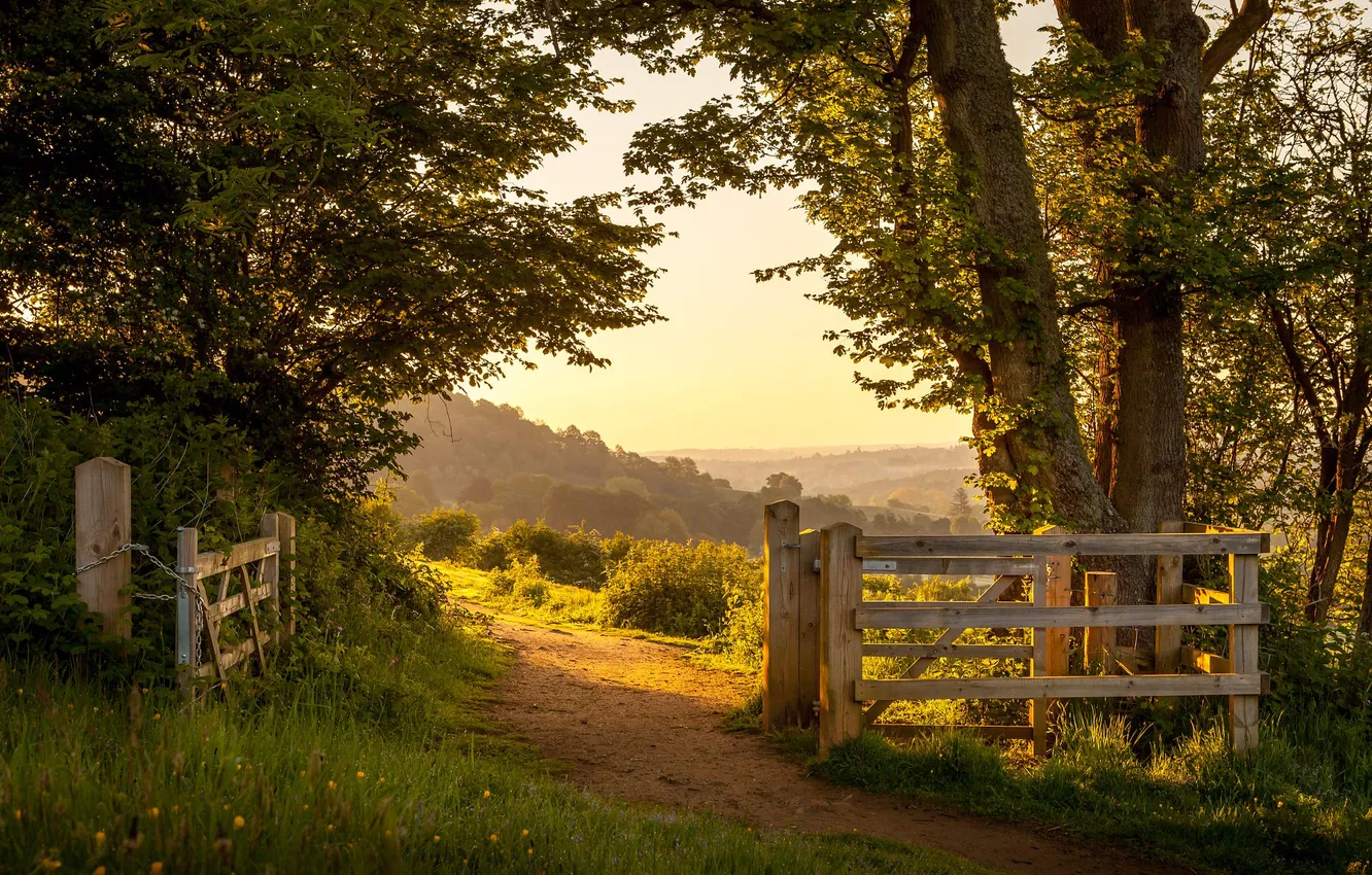 Фото обои трава, солнце, деревья, ворота, тропинка, England