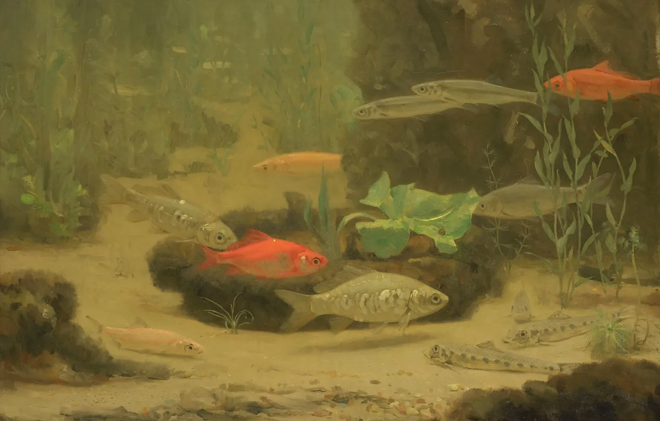 Фото обои природа, картина, Золотые и Серебряные Рыбки в Аквариуме, Gerrit Willem Dijsselhof