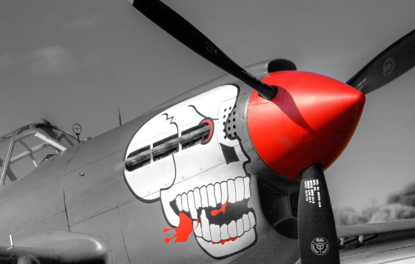 Фото обои череп, Истребитель, P-40, nose-art