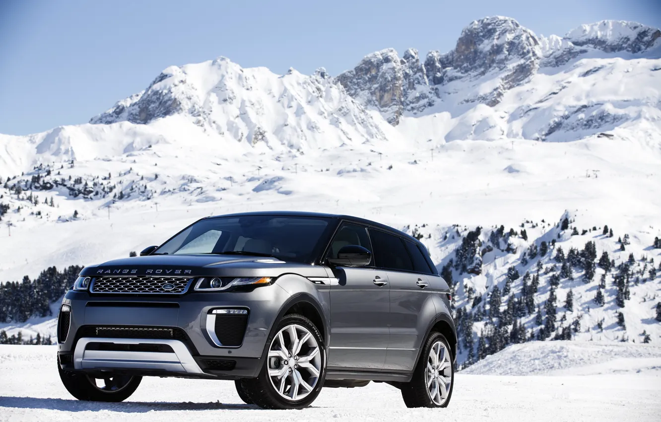 Фото обои car, снег, деревья, гора, склон, Land Rover, Range Rover, mountain