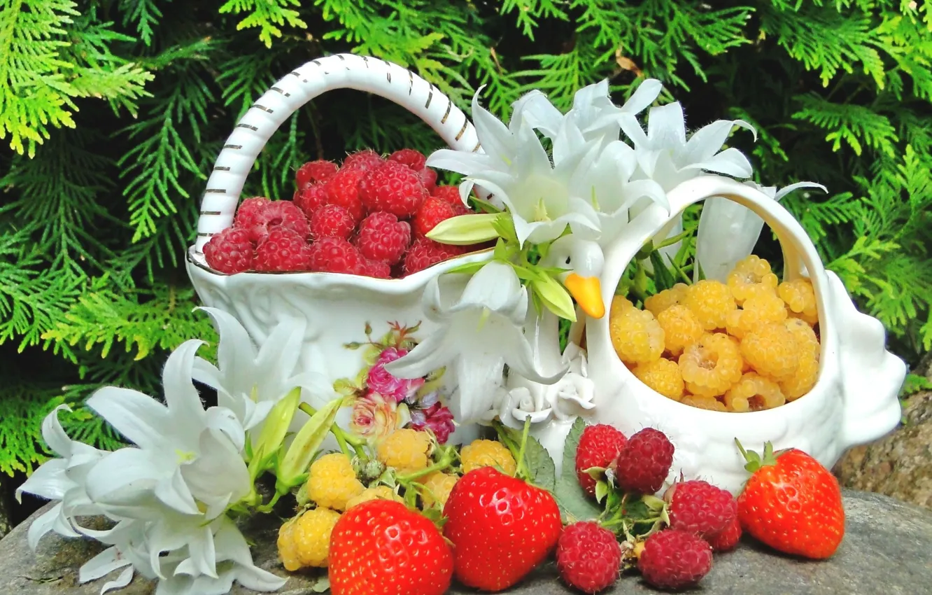 Фото обои ягоды, малина, лилии, натюрморт