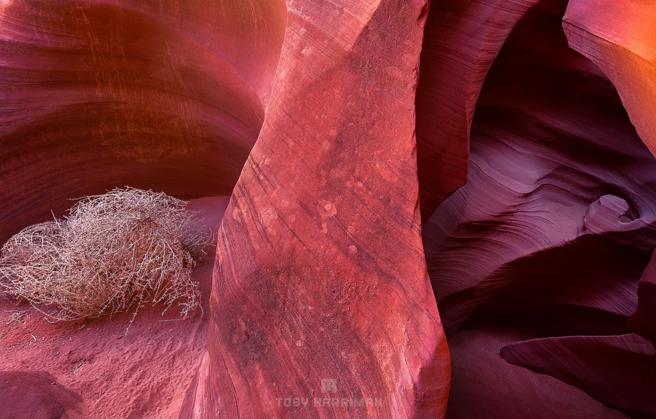 Фото обои скалы, текстура, Аризона, США, Каньон Антилопы